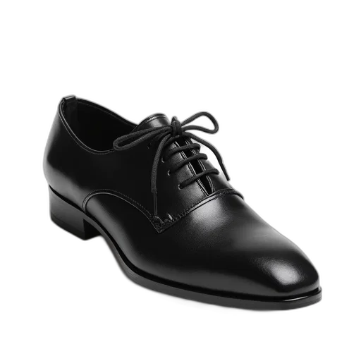 shoes, photorealistic, 3d render, black transparent PNG cut-out