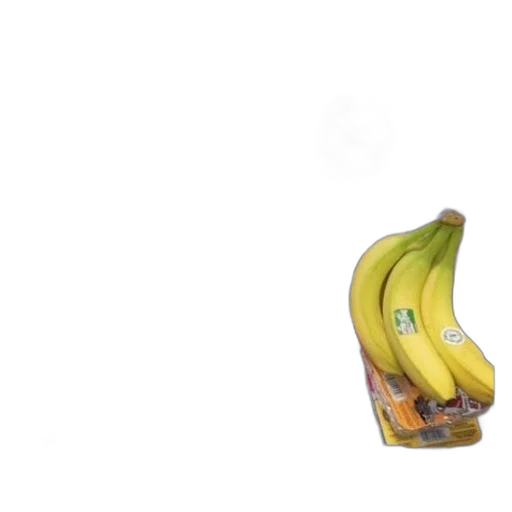 food, shoes, weapon, animal transparent PNG cut-out