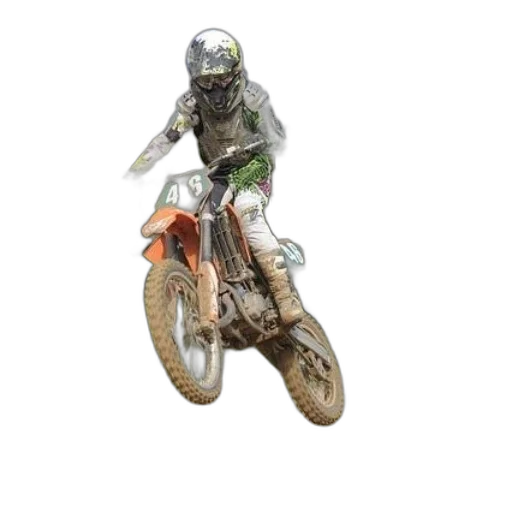 animal, photorealistic, concept art, 3d render transparent PNG cut-out