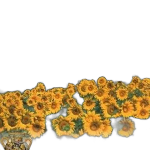 flower, crown, jewelry, staff transparent PNG cut-out