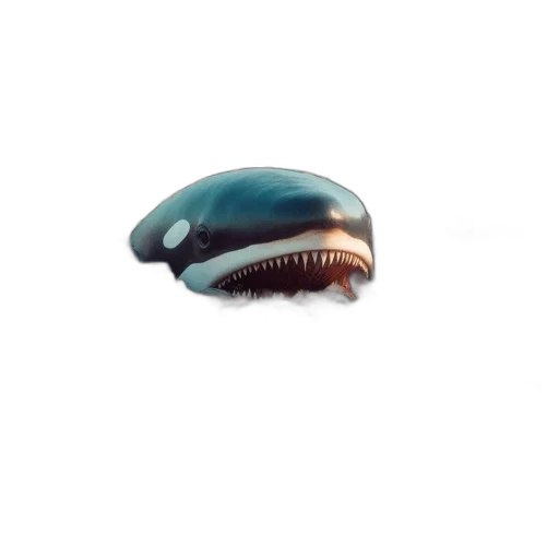 hat, creature, animal, food transparent PNG cut-out