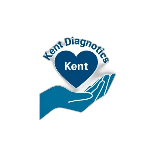 stylized, image, hand, holding transparent PNG cut-out