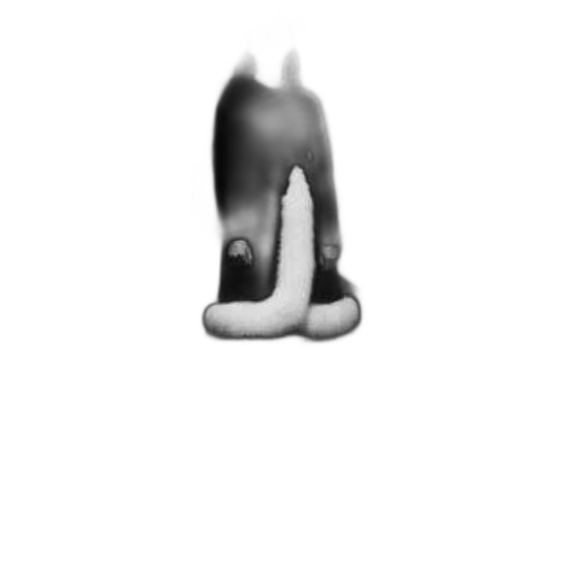 animal, creature, hat, hair transparent PNG cut-out