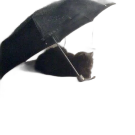 umbrella, hat, staff, animal transparent PNG cut-out