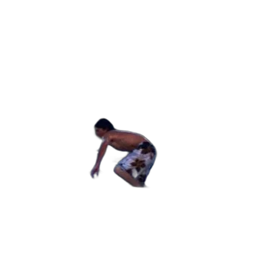 creature, animal, pixel art, surfer transparent PNG cut-out