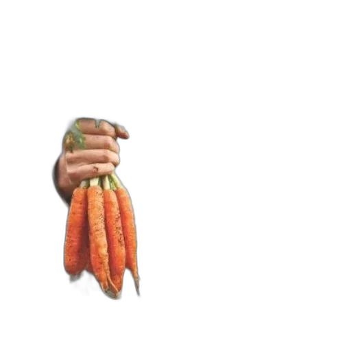 food, weapon, animal, staff transparent PNG cut-out