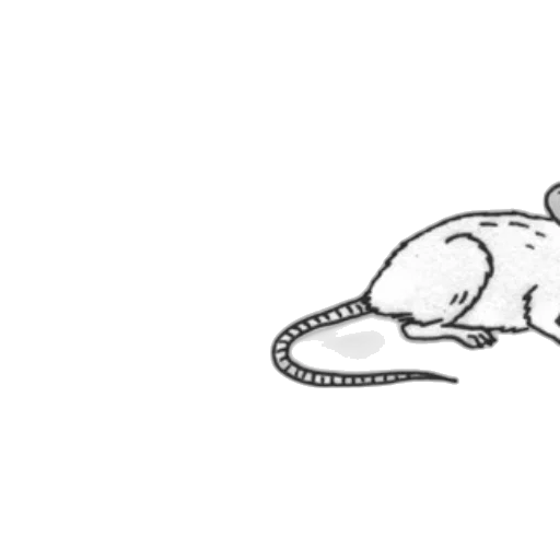 animal, creature, hat, staff transparent PNG cut-out