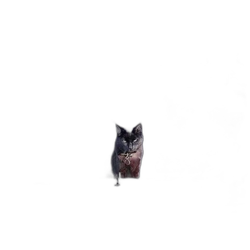 animal, creature, face, robot transparent PNG cut-out