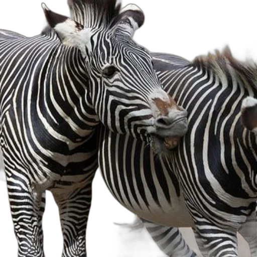 animal, creature, photorealistic, 3d render transparent PNG cut-out