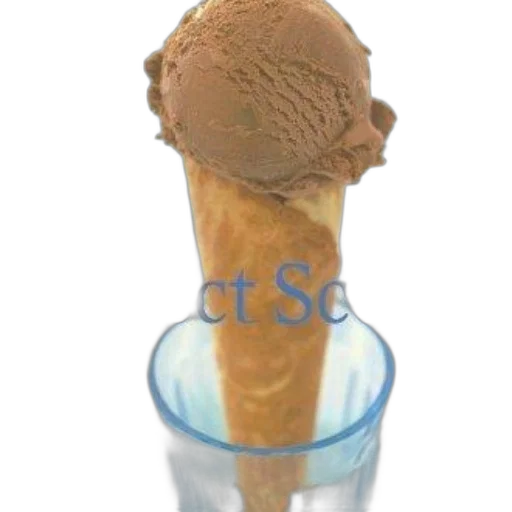 food, umbrella, staff, bottle transparent PNG cut-out