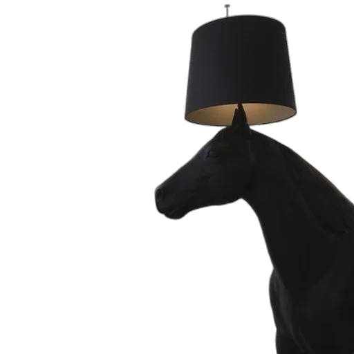 hat, animal, furniture, staff transparent PNG cut-out