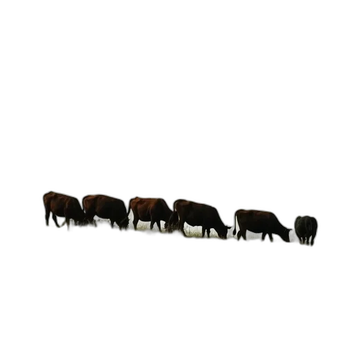 furniture, animal, staff, building transparent PNG cut-out
