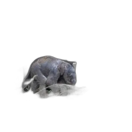 animal, creature, dragon, robot transparent PNG cut-out