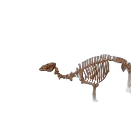 animal, creature, dragon, weapon transparent PNG cut-out