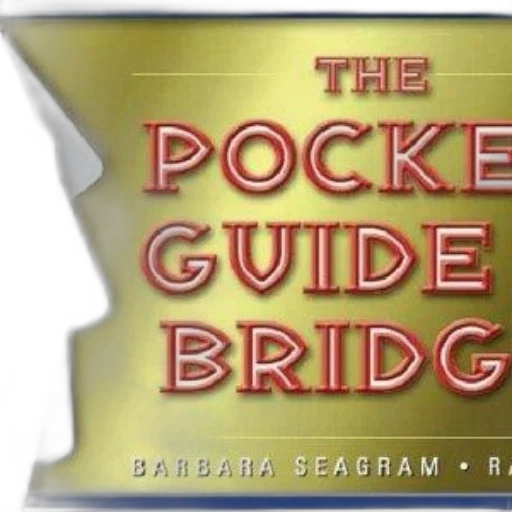 pocket, guide, bridge, barbara transparent PNG cut-out