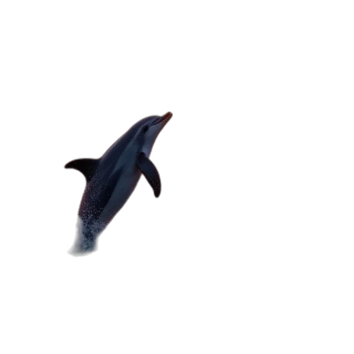 animal, creature, staff, weapon transparent PNG cut-out