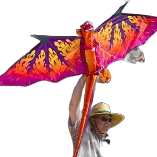 umbrella, staff, dragon, weapon transparent PNG cut-out
