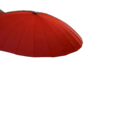 umbrella, hat, crown, staff transparent PNG cut-out