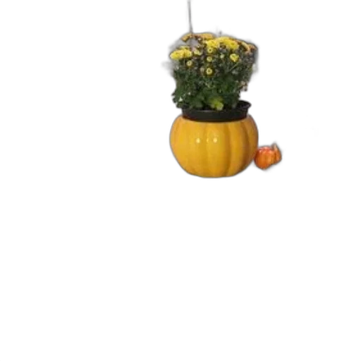 flower, staff, furniture, crown transparent PNG cut-out