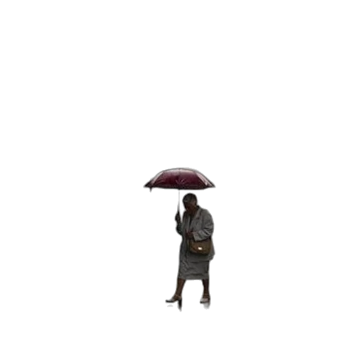 umbrella, animal, staff, hat transparent PNG cut-out
