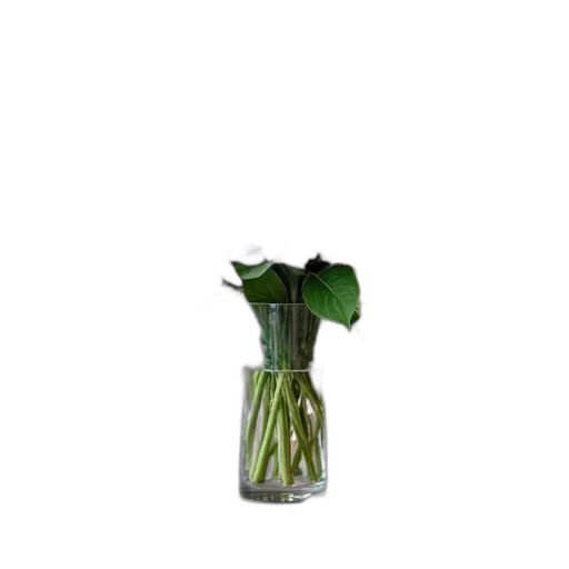bottle, flower, staff, food transparent PNG cut-out