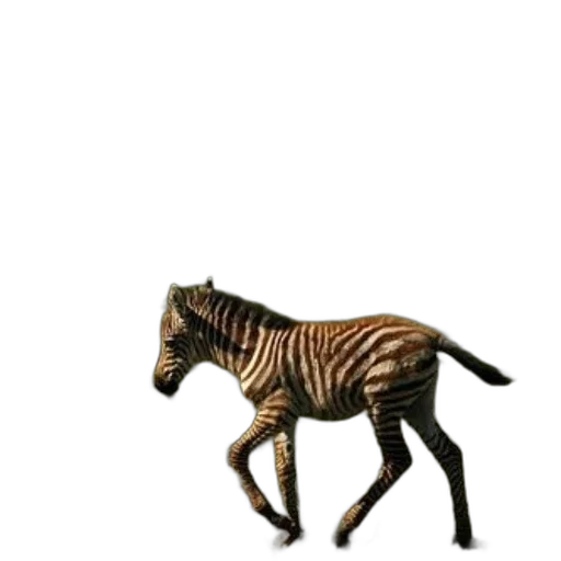 animal, creature, staff, furniture transparent PNG cut-out