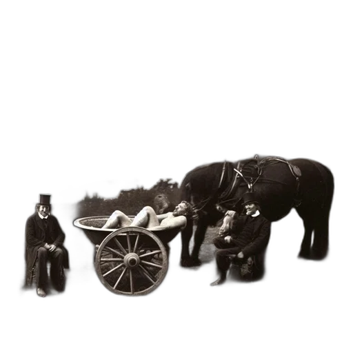 staff, car, furniture, animal transparent PNG cut-out