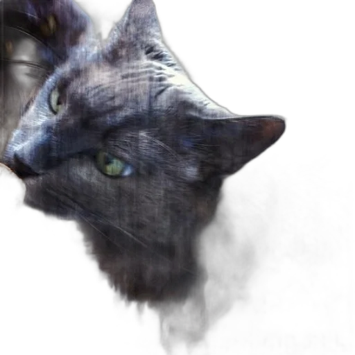 animal, dragon, creature, mask transparent PNG cut-out