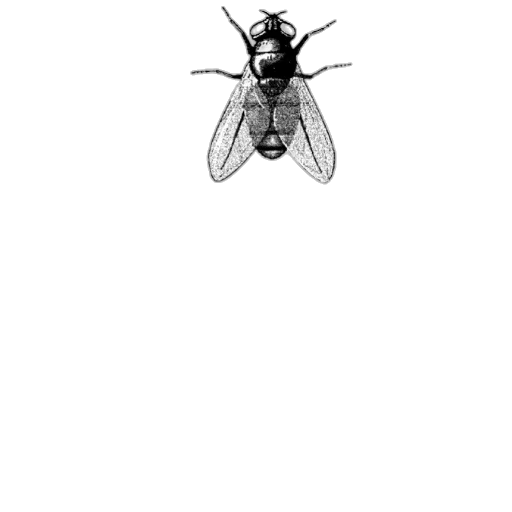 animal, creature, staff, robot transparent PNG cut-out