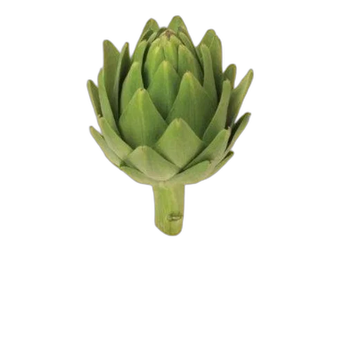 crown, flower, food, jewelry transparent PNG cut-out