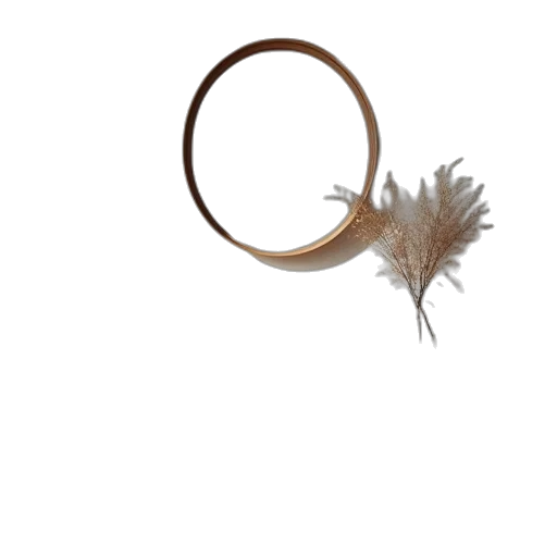 hair, jewelry, crown, staff transparent PNG cut-out