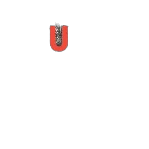 jewelry, jacket, bottle, staff transparent PNG cut-out