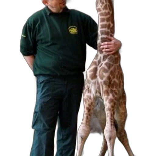 staff, animal, creature, weapon transparent PNG cut-out