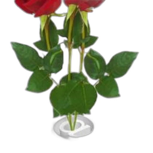 flower, jewelry, crown, staff transparent PNG cut-out