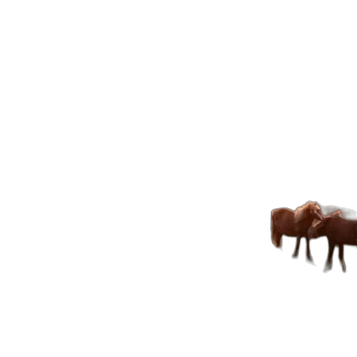 furniture, animal, creature, weapon transparent PNG cut-out