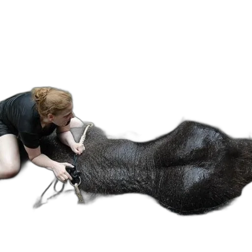 animal, creature, hair, staff transparent PNG cut-out