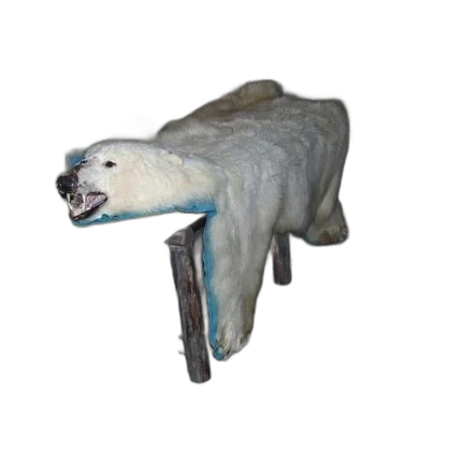 animal, creature, weapon, staff transparent PNG cut-out