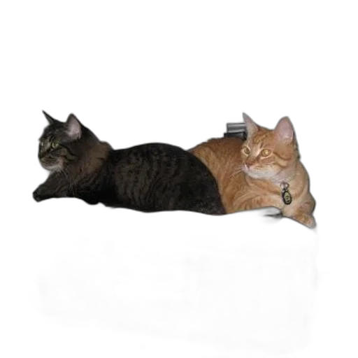 furniture, staff, jewelry, animal transparent PNG cut-out