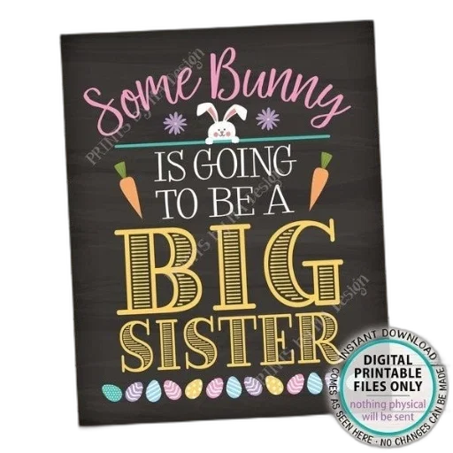 chalkboard-style, poster, bunny, illustration transparent PNG cut-out