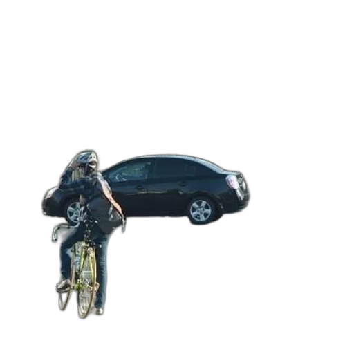 car, jacket, animal, umbrella transparent PNG cut-out