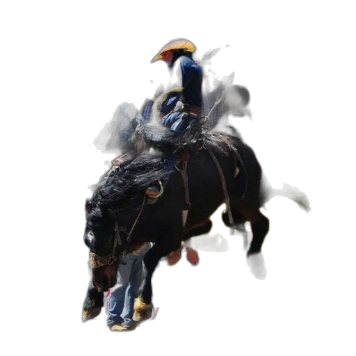 crown, dragon, animal, hat transparent PNG cut-out