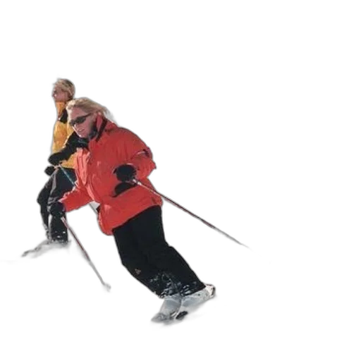 staff, jacket, animal, 3d render transparent PNG cut-out