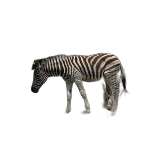animal, creature, furniture, robot transparent PNG cut-out