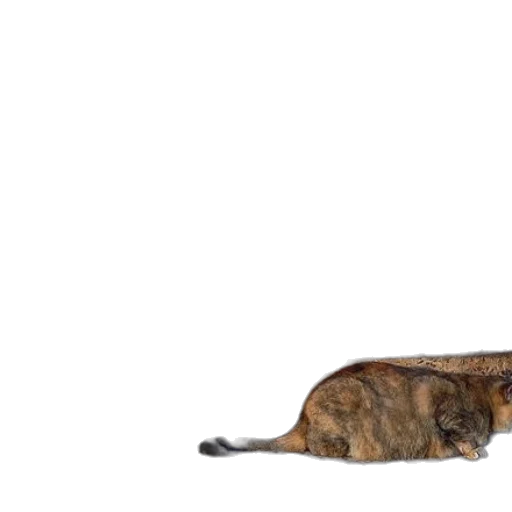 animal, creature, staff, weapon transparent PNG cut-out