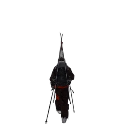staff, umbrella, sword, animal transparent PNG cut-out