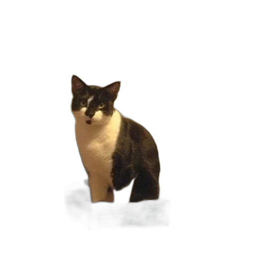 animal, staff, creature, robot transparent PNG cut-out