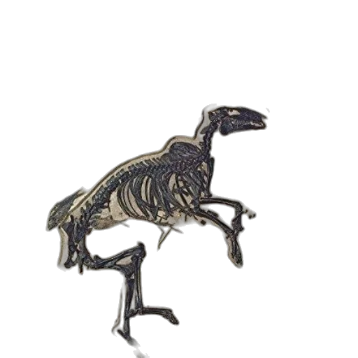 dragon, animal, creature, jewelry transparent PNG cut-out