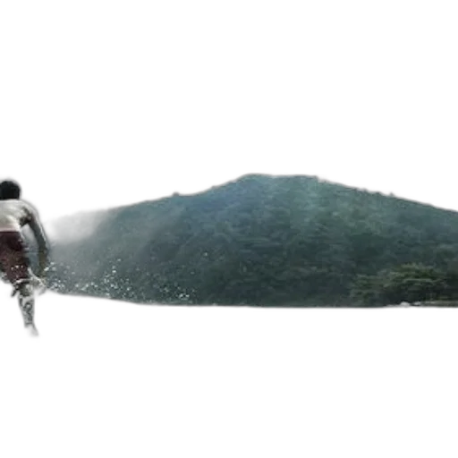 sword, concept art, fog, forest transparent PNG cut-out