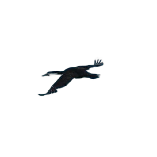 animal, creature, dragon, staff transparent PNG cut-out