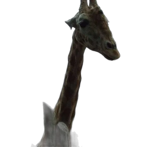 animal, staff, creature, dragon transparent PNG cut-out
